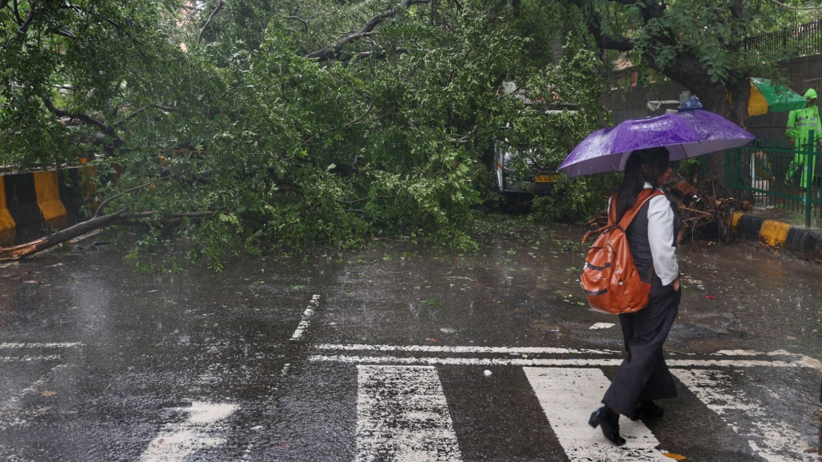 Heavy rain left a trail of fallen trees across Delhi. Here’s why