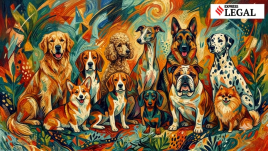 Dogs Mahua Moitra Jai Anant Dehadrai Delhi High Court Custody Battle