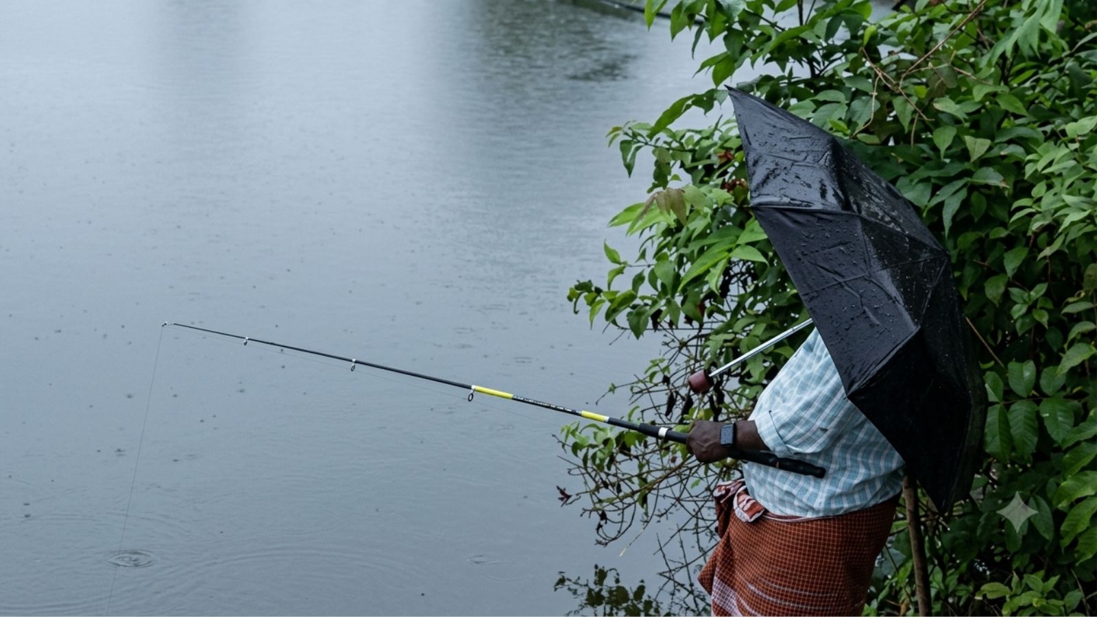 monsoon