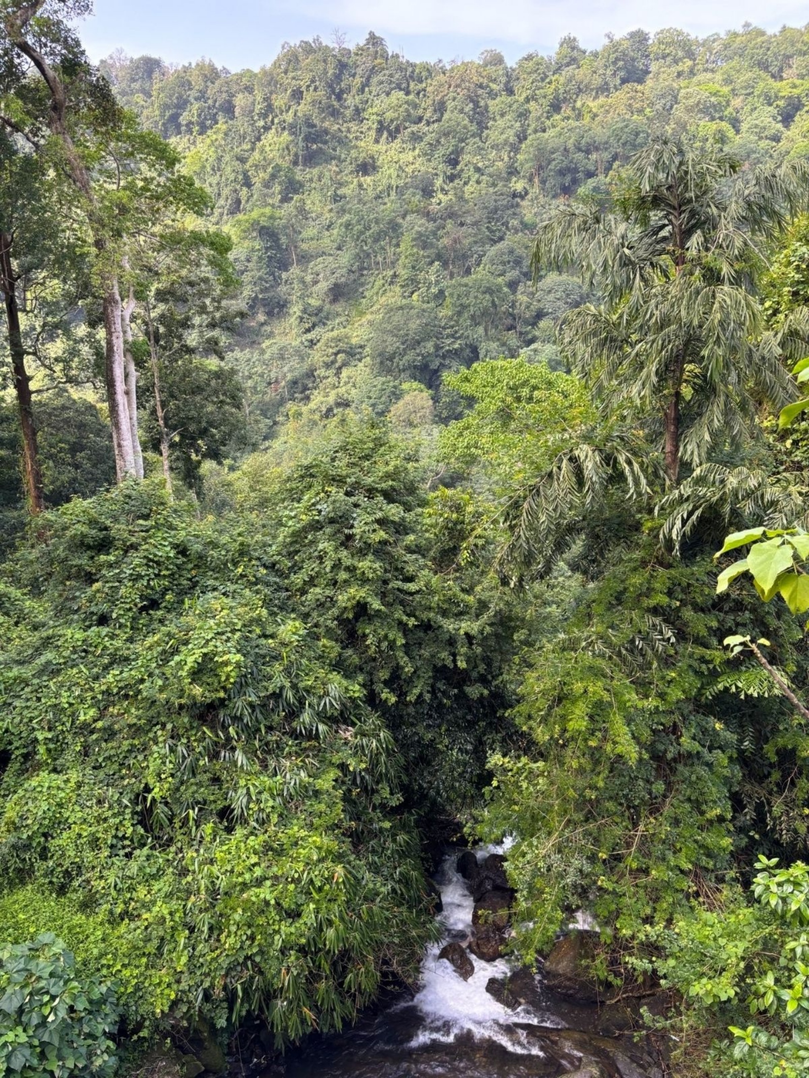 Goa
