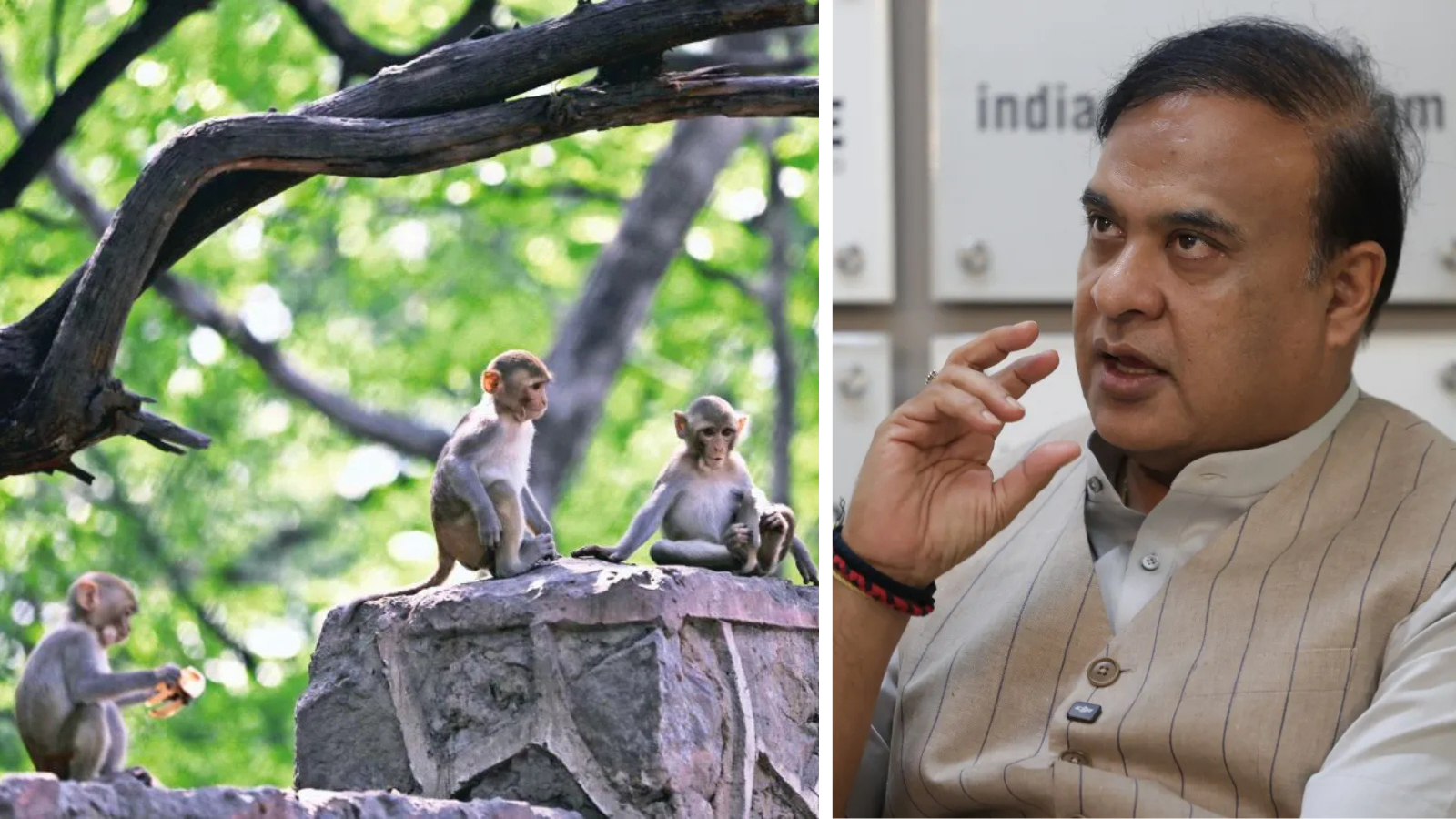 BAI Prez Himanta Biswa Sarma