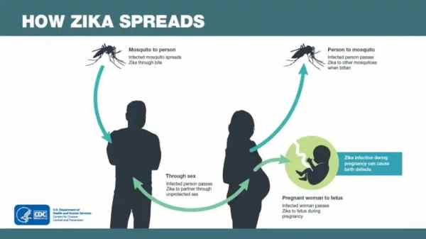 UPSC Weekly Concepts Snapshot: India’s first dengue vaccine, Principal Purpose Test, Persistent Organic Pollutants