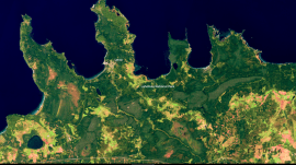 environmental performance index