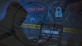 Thane cybercrime case