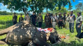 Elephant Joymala dead Guwahati