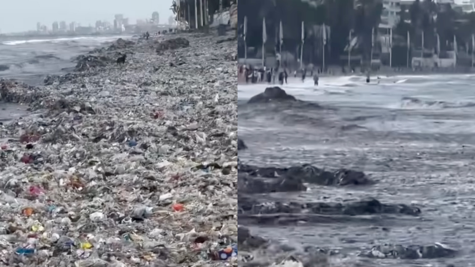 Garbage, sewage waste pile up on Mumbai’s Juhu Beach