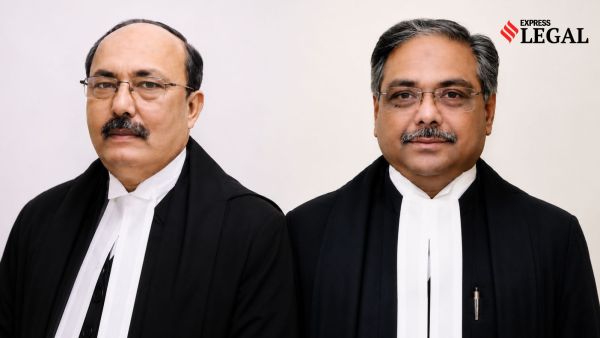 Justices Alok Mathur and Syed Qamar Hasan Rizvi allahabad high court