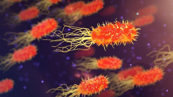 Cooling tower linked to Legionnaires' disease outbreak