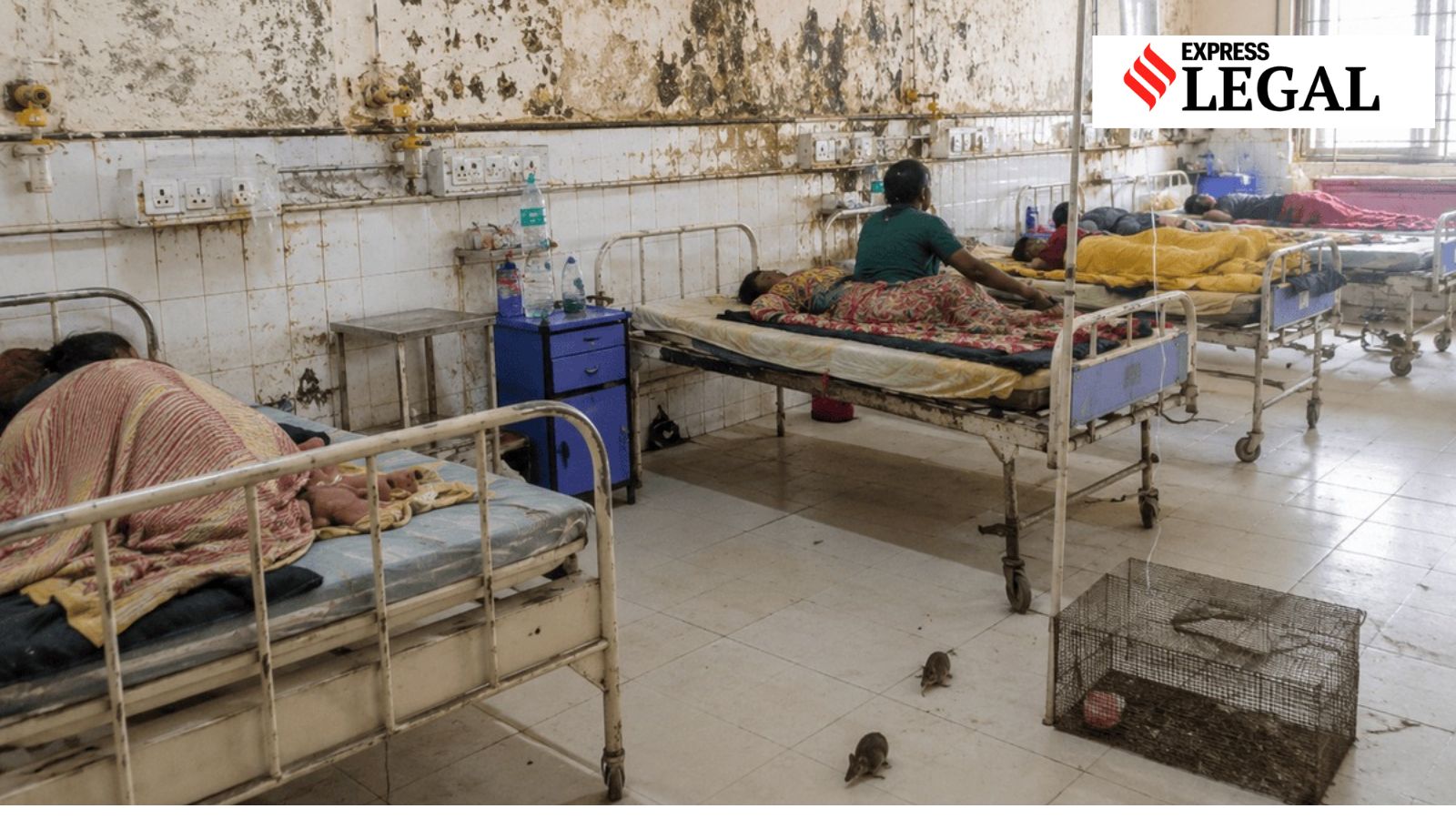 Fungus, rats in burn ward: Court moves child acid attack survivor to private hospital
