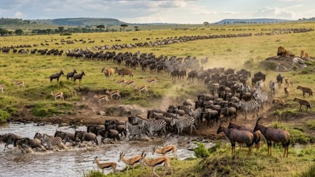 Masai Mara