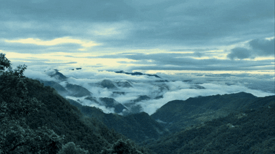 Monsoon copy
