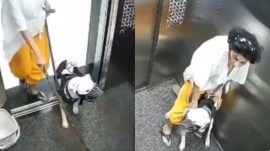 Mumbai lift dog attack video