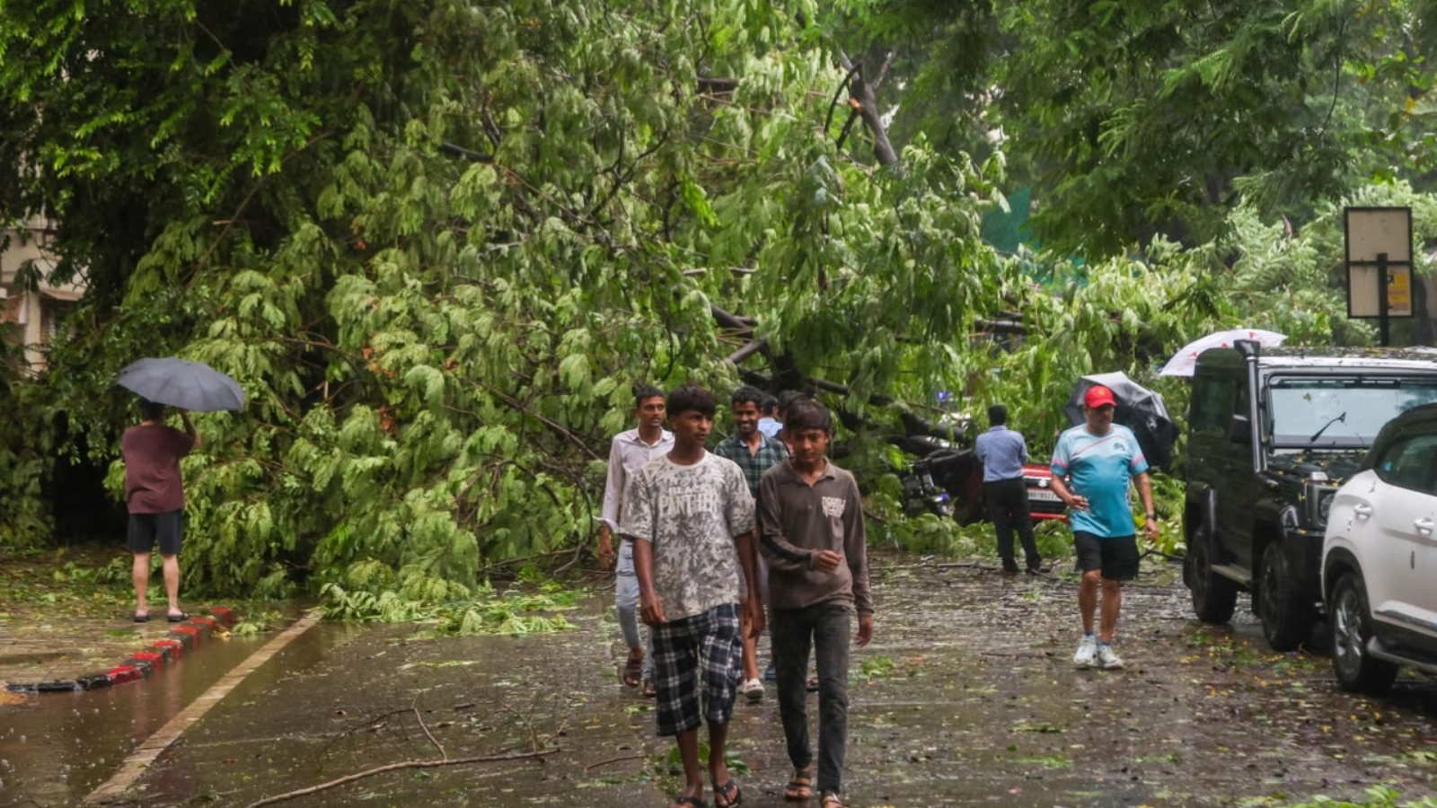 Mumbai Weather Today Live Updates: City logs 523 tree falls in 24 hours; one dead, 10 injured amid heavy rains