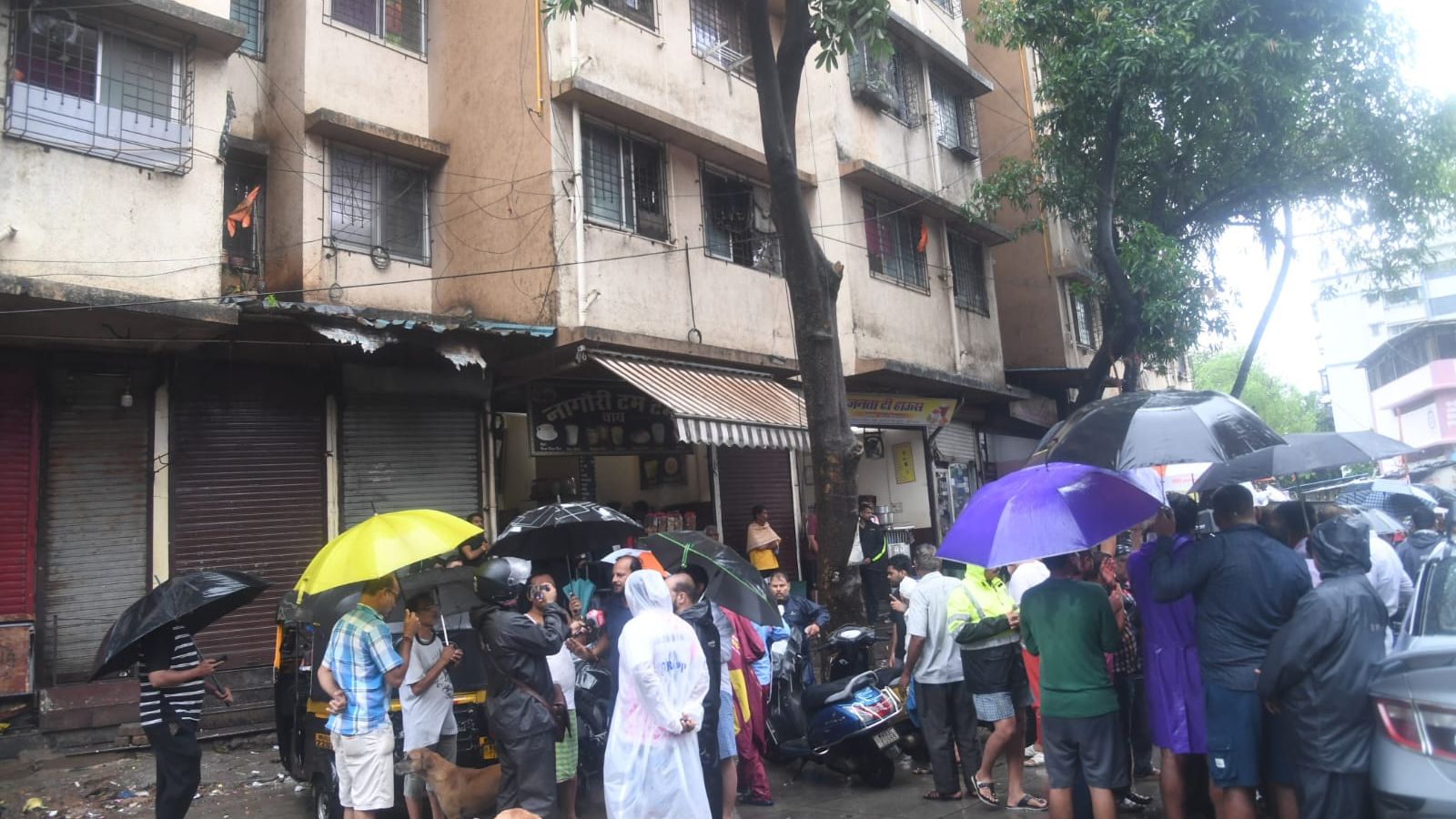 Another tree collapse death as relentless rain triggers chaos in Mumbai