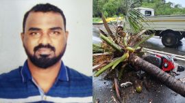 The tree was partially uprooted and the road next to it was also in a bad condition. (Express Photo/ Representative image)