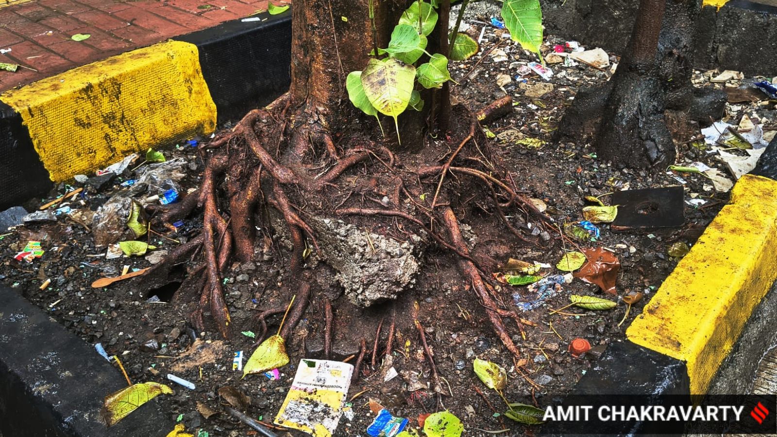 Thane Resident Dies From Injuries After Tree Crashes on His Motorcycle