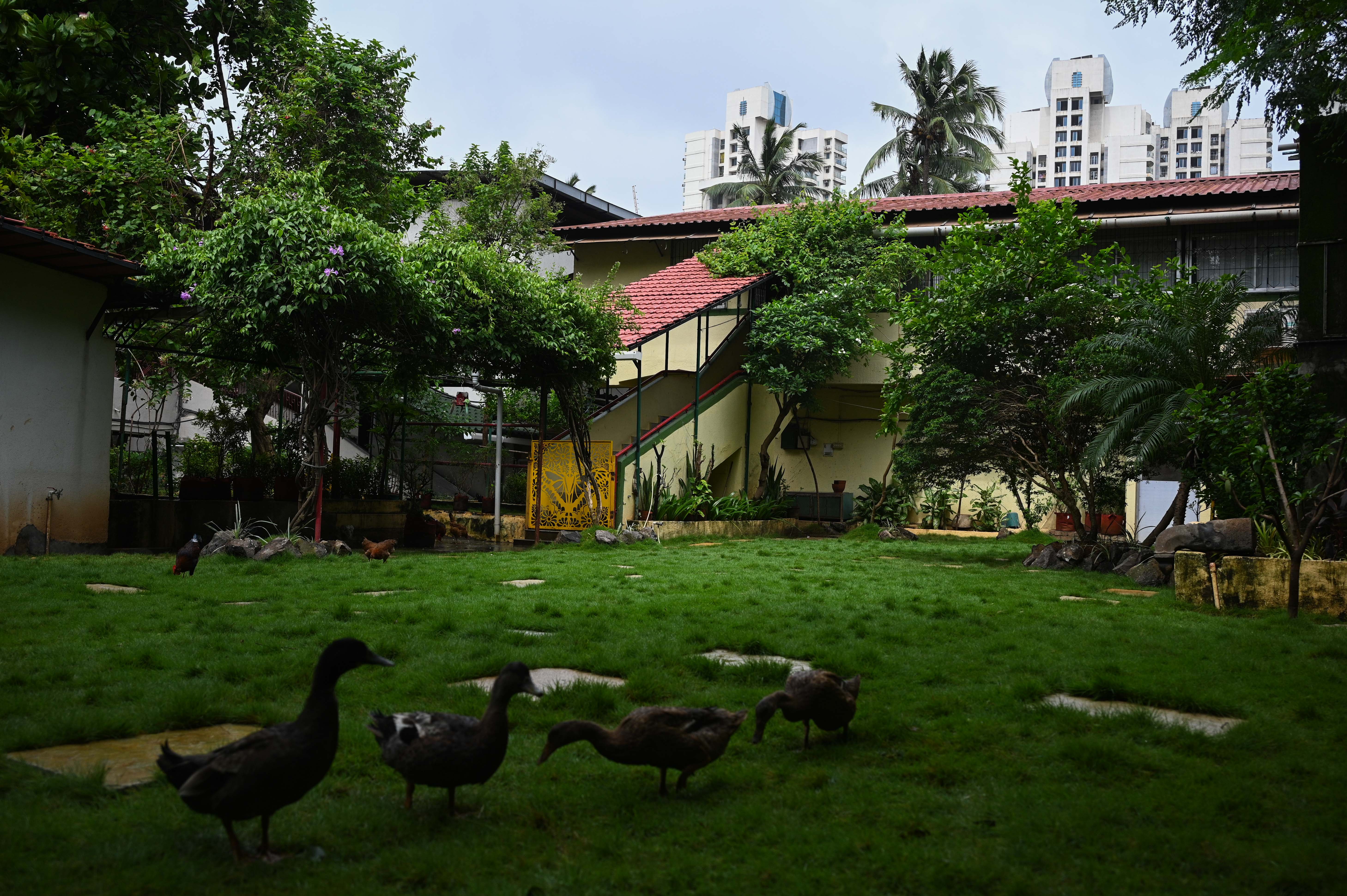 The house in Mumbai's Vikhroli where Krishna Pillai's wife continues to live