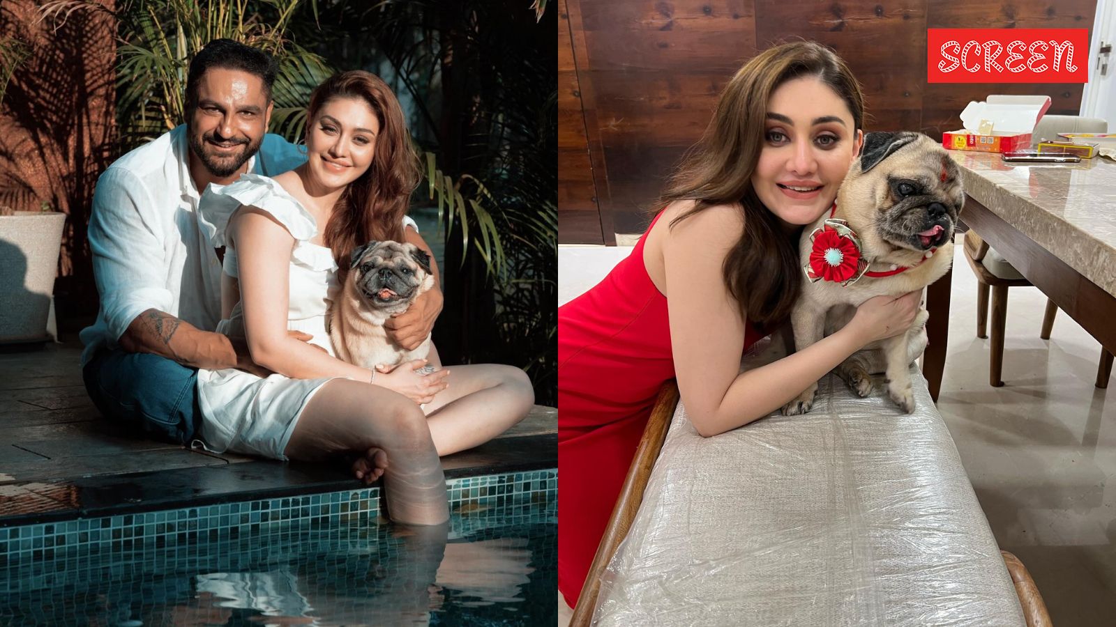 ‘Can’t wait to join you both’: Parag Tyagi-Shefali Jariwala’s pet dog Simba dies