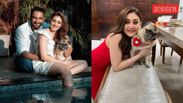 Can't wait to join you both': Parag Tyagi-Shefali Jariwala's pet dog Simba dies | Television News