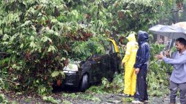 Photo – 2026-07-07T091240.167 A damaged taxi sits trapped beneath an uprooted tree after heavy rains battered Mumbai’s Fort area. (Express Photo By Ganesh Shirsekar)
