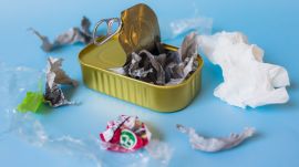 Dr Saurabh Sethi discusses BPA and phthalate exposure through diet