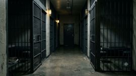 Police custody