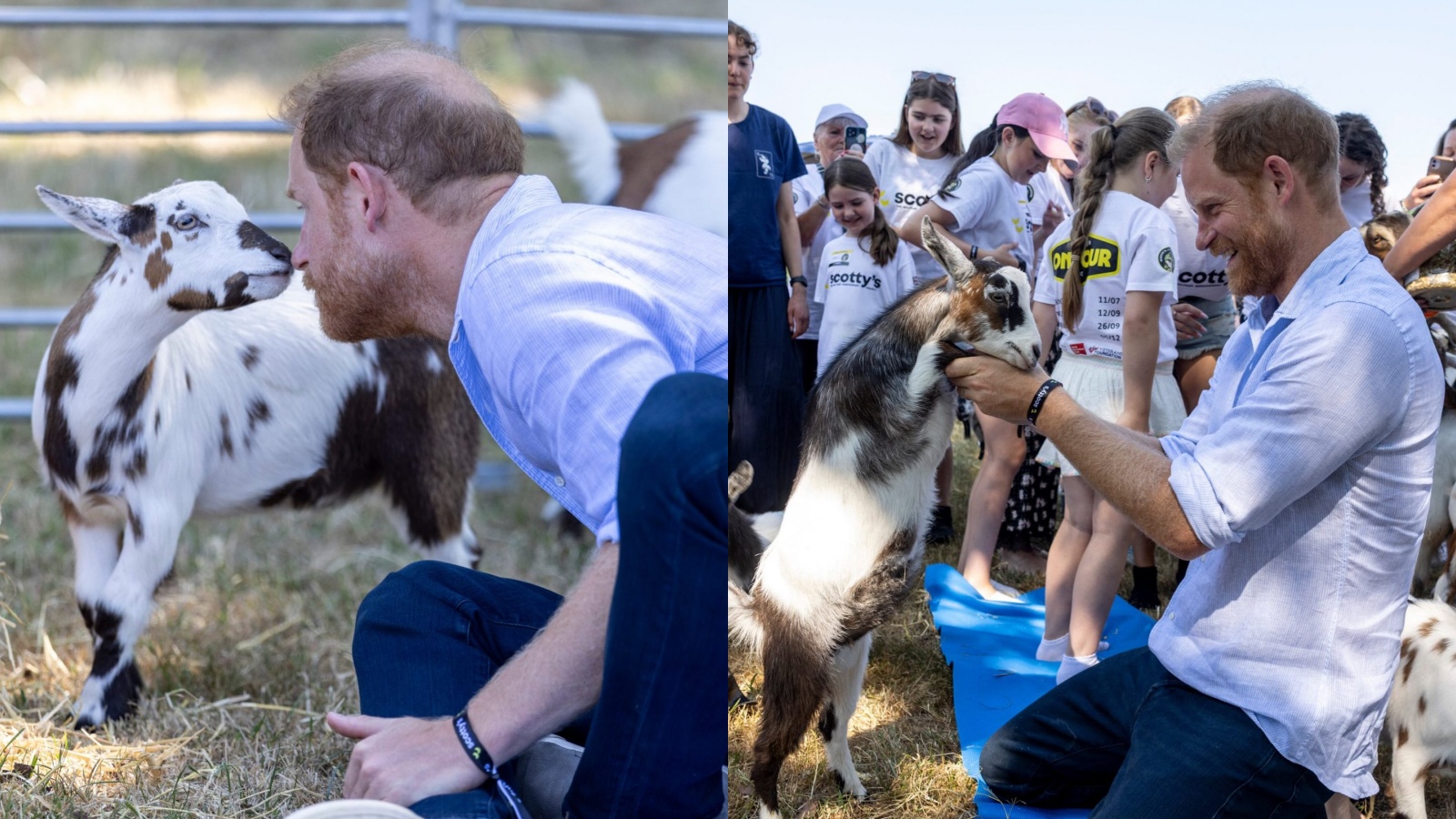 Prince Harry joins goat yoga, plays water bombs at charity event for military families