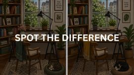 Spot the difference reading nook puzzle with hidden changes