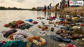 Tamirabarani River Pollution Madras High Court Turtle