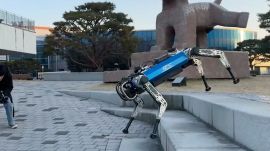 Researchers trained the four-legged robot to switch between trotting and bounding based on the obstacles ahead. (Image: Jun-Gill Kang)