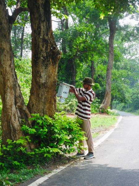 Jharkhand human elephant conflict, Palamu Tiger Reserve AI tracking, Avi Mohan Shukla child prodigy, elephant early warning system seismic sensor, InnoBox solar powered wildlife tracker, PTR Deputy Director Prajesh Jena, IIM Ranchi Young Changemakers, Jharkhand forest department wildlife compensation, Shubham Tigga, The Indian Express Ranchi news