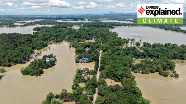 Assam floods