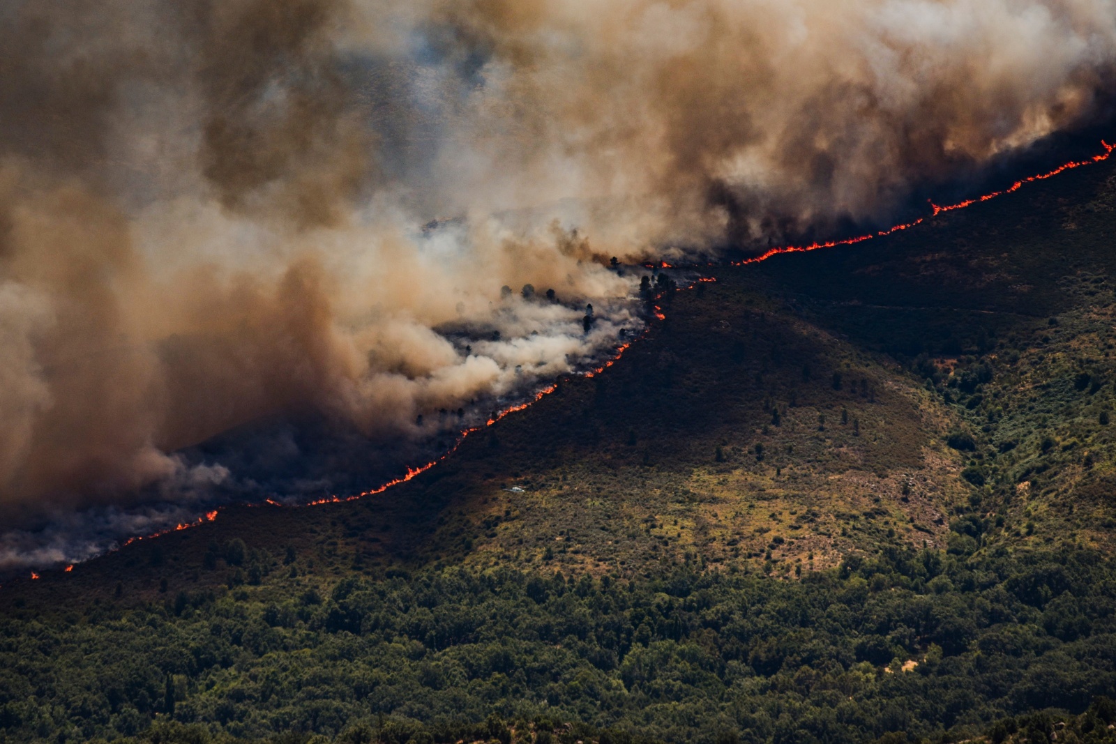 A wall of flames advances as a wildfire burns near Burgohondo, in Ávila province, Spain