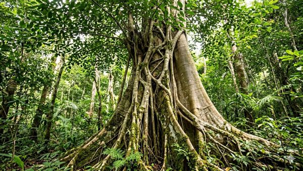 UPSC Essentials daily subject quiz : Environment and Geography