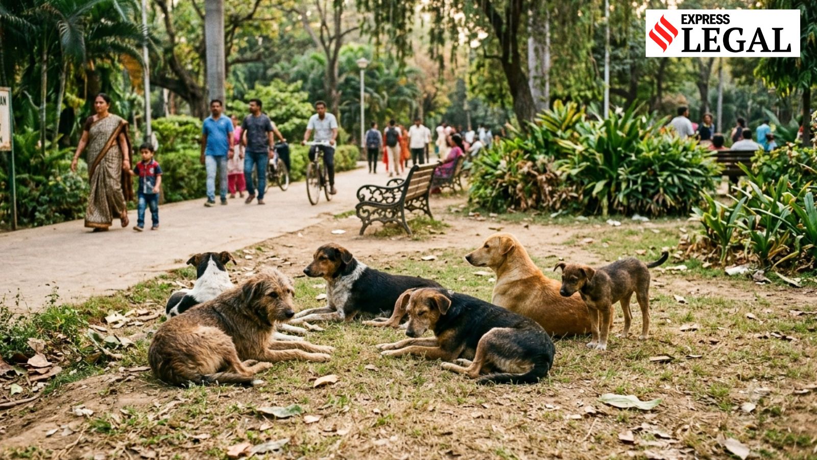 Noida RWA Ordered to Pay ₹1 Lakh Over Stray Dog Attack on 4-Year-Old Girl