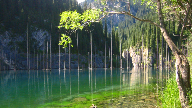 nature