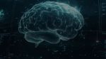 BrainCo