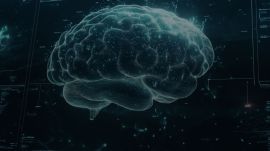 BrainCo