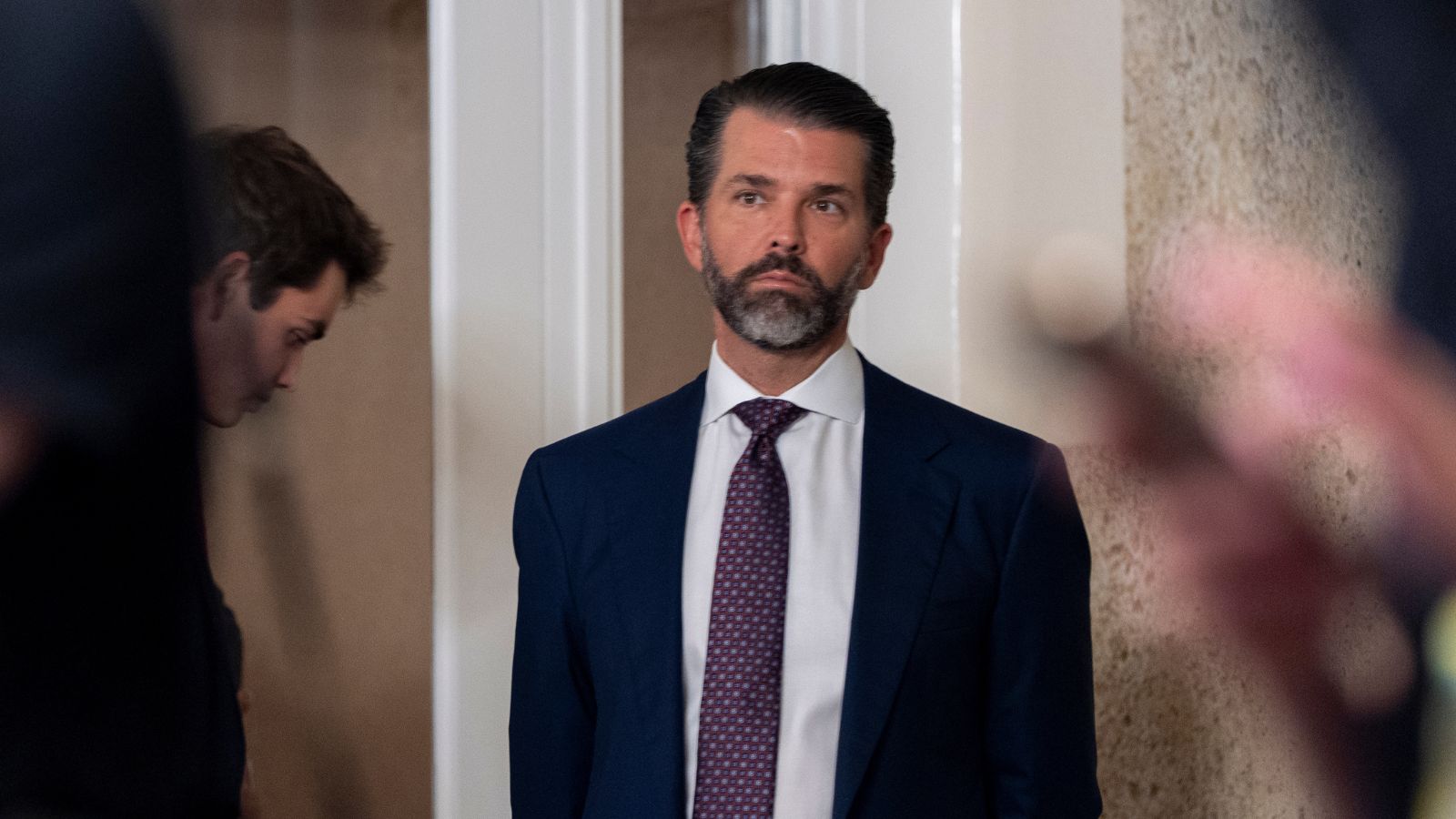 What is the proposed US firearms home-delivery plan which could benefit Trump Jr?
