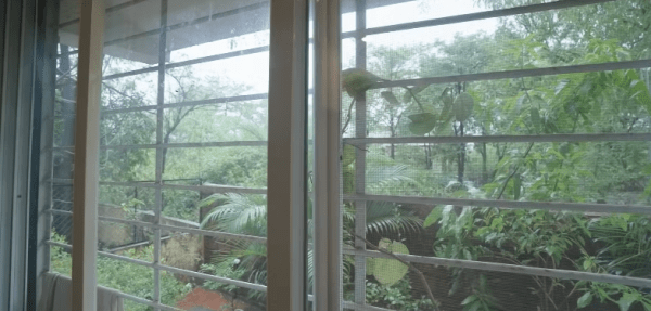 View from the kitchen.