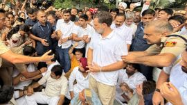 Rahul Gandhi and Priyanka Gandhi were detained by police and taken away from the protest site.