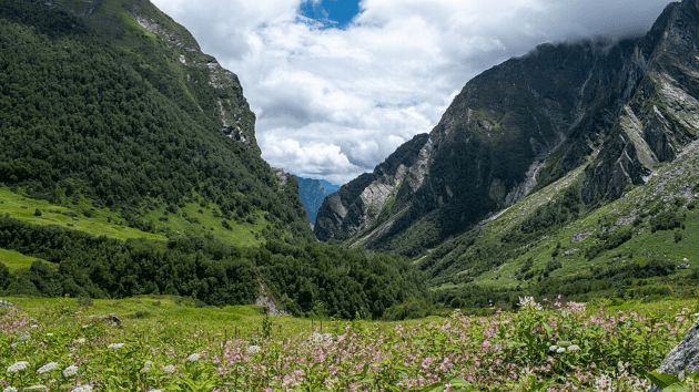 nature