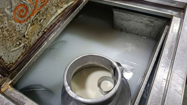 adulterated milk