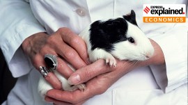 “Nifty500 Ahimsa Index will be attractive to investors who wish to invest in stocks of companies that do not engage in activities that harm animals,” a press release said.