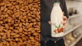 Almond