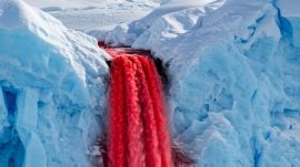 Researchers traced the source of Blood Falls to an ancient reservoir of extremely salty water trapped beneath the glacier. (Image: X/ Nature Clips)