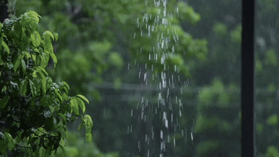 monsoon