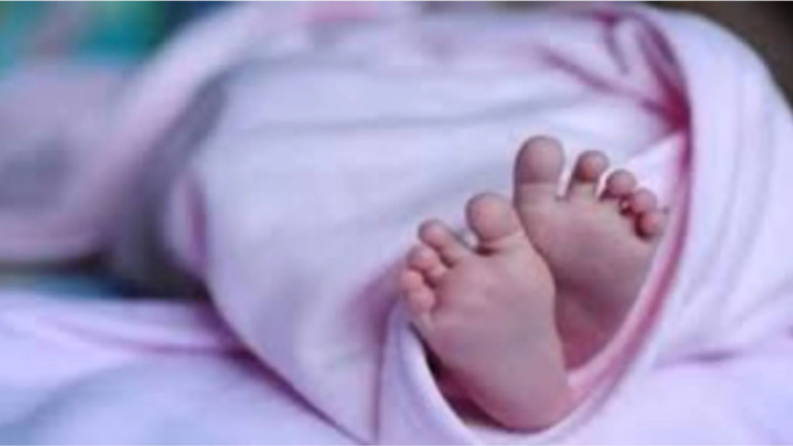 Kerala’s birth rate has reached an all-time low: 7 takeaways