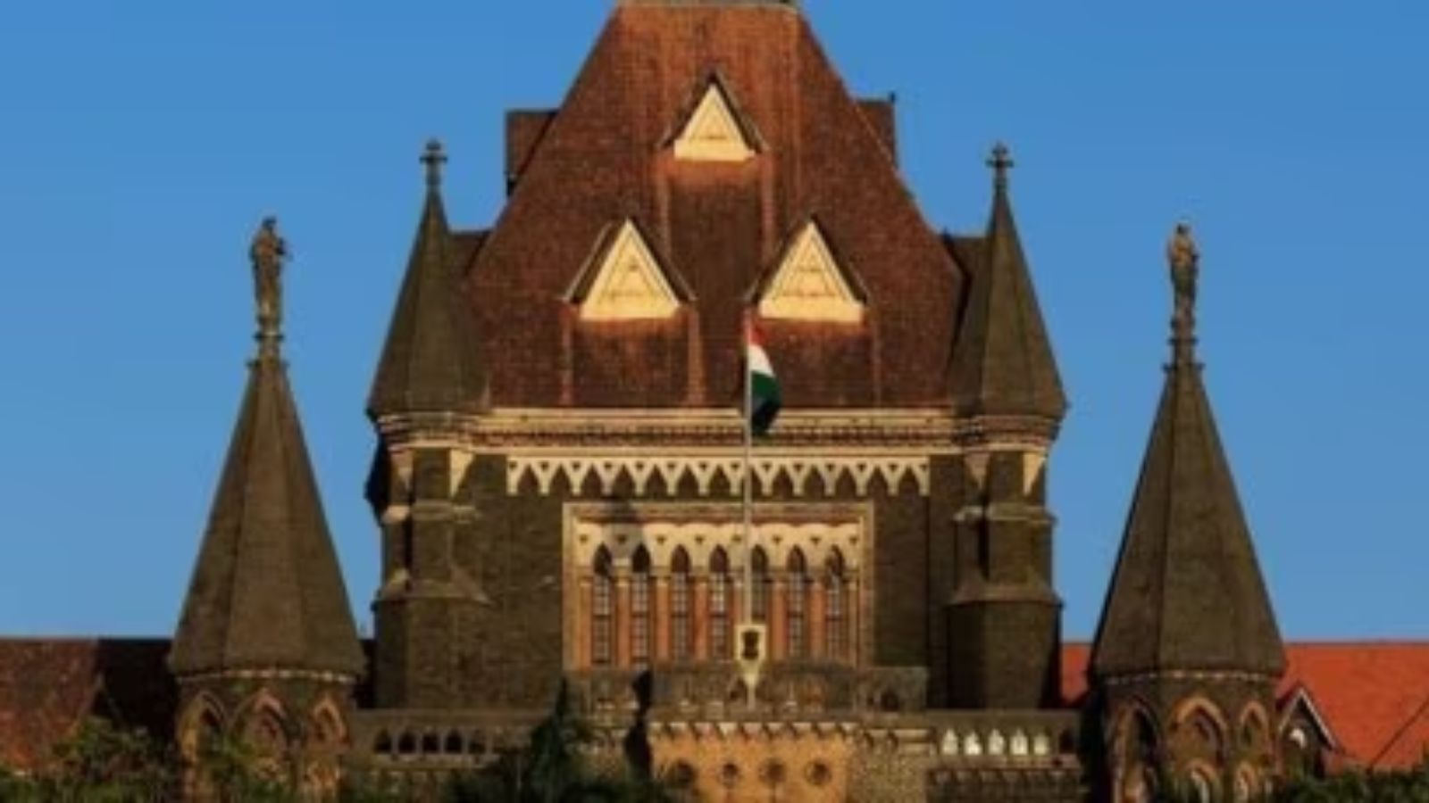 ‘Sheer callousness’: Bombay High Court slams Maharashtra over Forest Rights Act delay