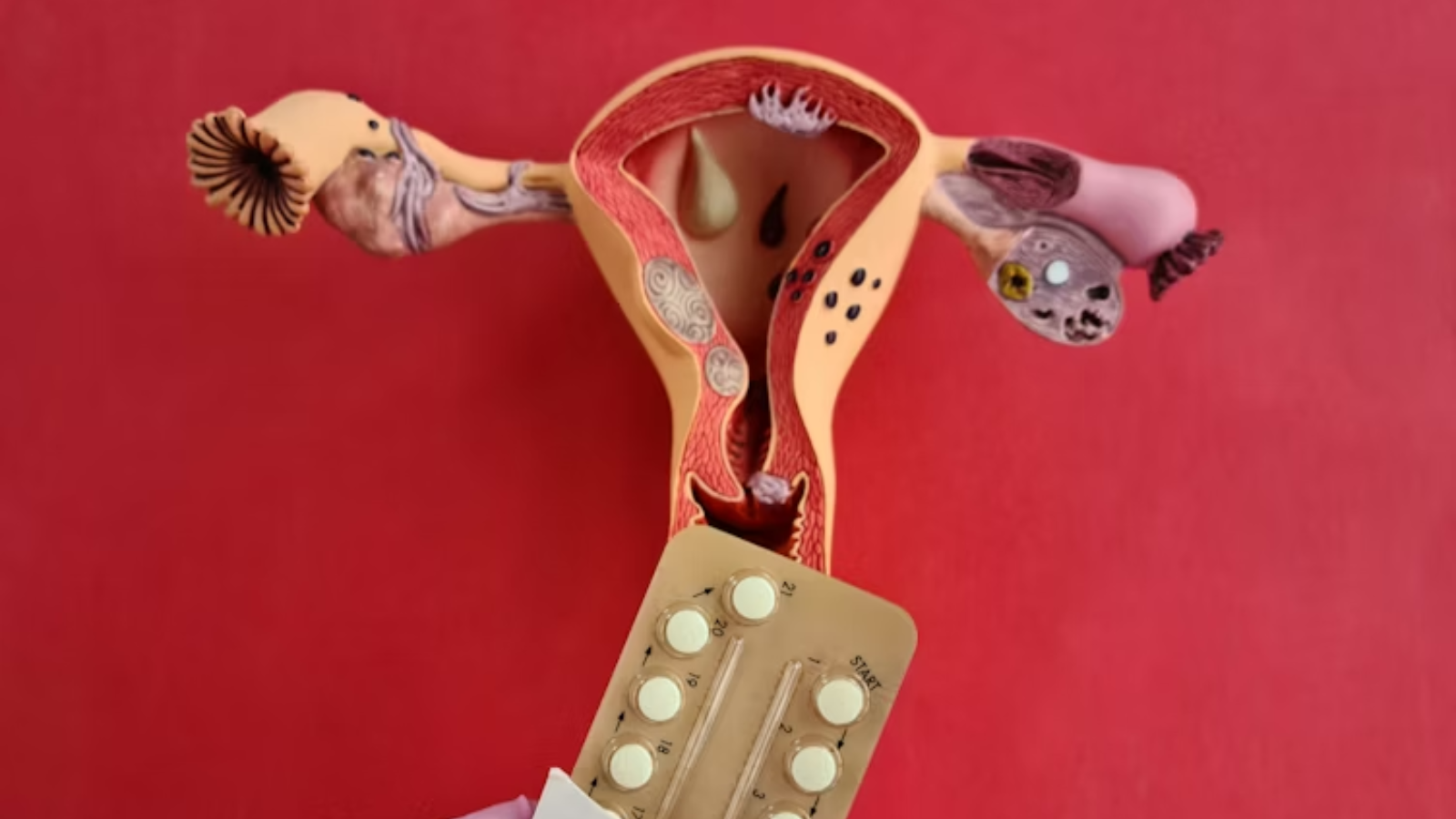 New cervical cancer pill shows promise by stopping HPV from turning cancerous